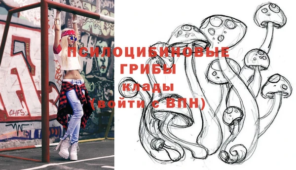 скорость Новозыбков