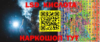 крисы Аргун