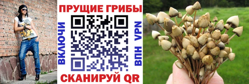 Галлюциногенные грибы ЛСД  Шуя 
