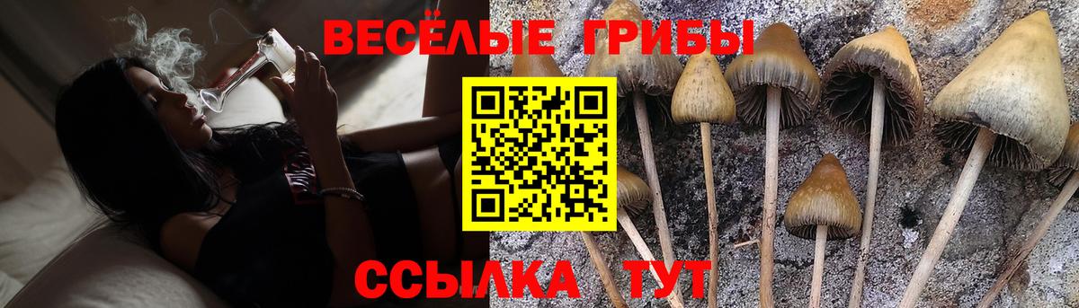 Псилоцибиновые грибы мухоморы  Псилоцибиновые грибы прущие грибы  закладка  Шуя  Вход с VPN 