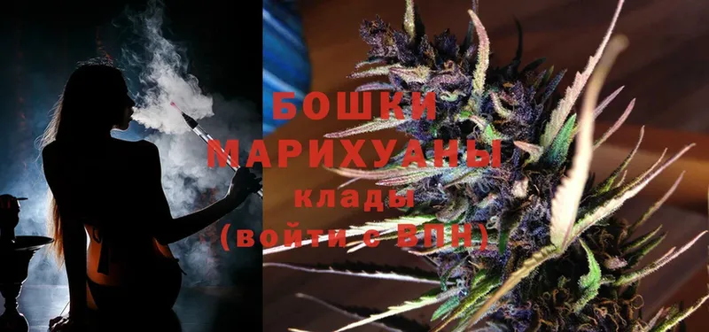 mega как зайти  Шуя  Марихуана LSD WEED  купить наркотики сайты 