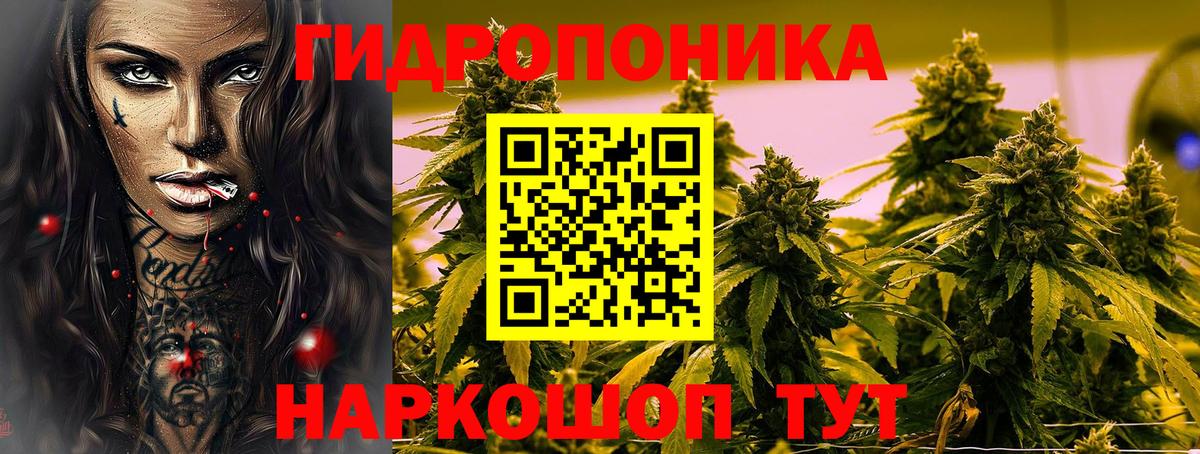 Марихуана план  Вход с VPN  Марихуана гибрид  МАРИХУАНА конопля  Шуя  Шишки марихуана VHQ 